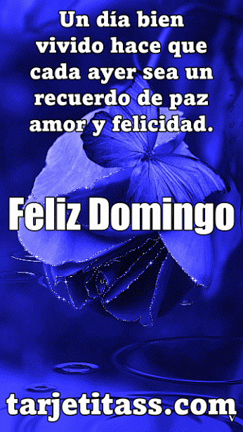 Frases Hermosas De Feliz Cumpleaa Os Amor J Kosong W