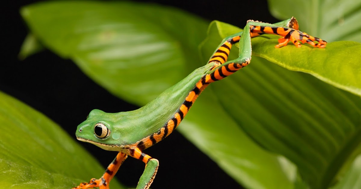 Green beauty |photo blog photos green beauty |Photo Blog Photos