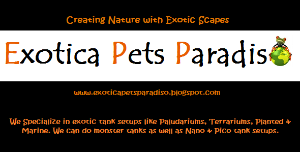 Exotica Pets Paradiso
