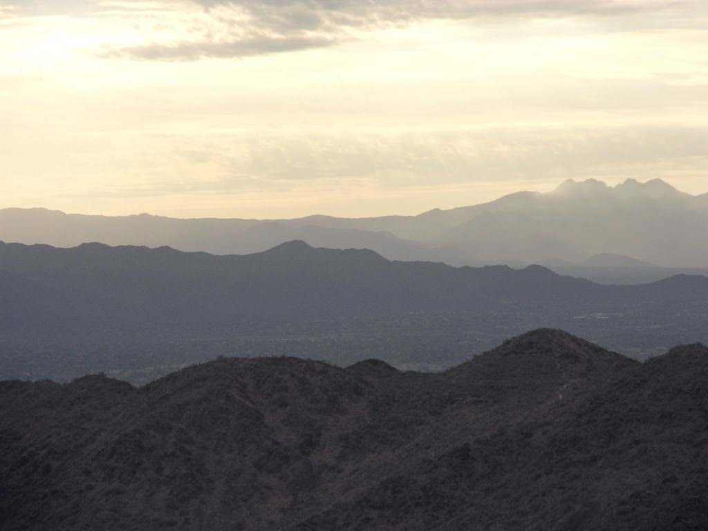 Sunrise in the Sonoran Desert