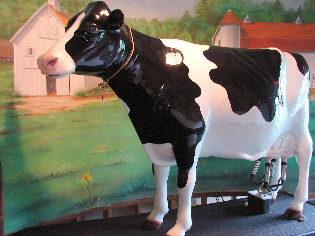 Expeditions by Tricia A "DAIRY AIR" EXPEDITION!