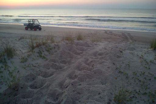 sitting on the beach essay sitting on the beach essay
