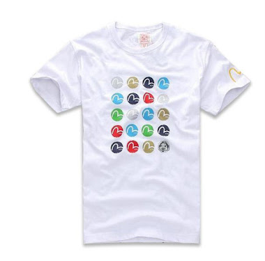 Evisu T-shirt(size M)