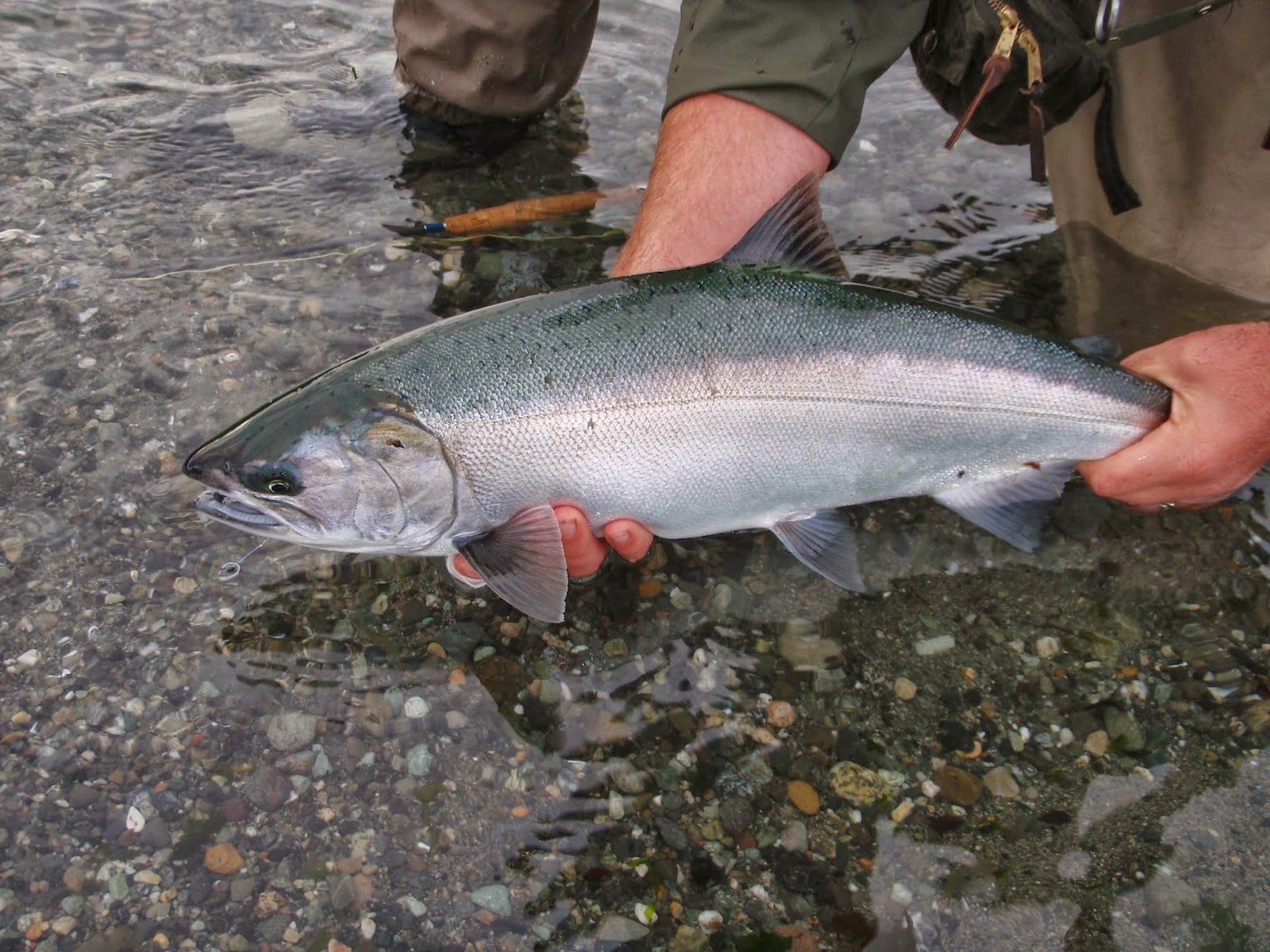 washington fly fishing October Charms