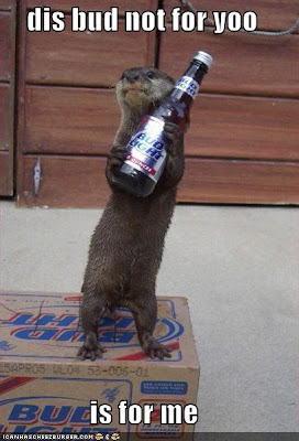 Funny Beer Pictures