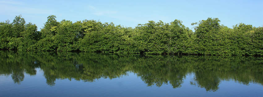 Facebook Cover Photos [Banner] | Free Download: Nature Facebook Covers
