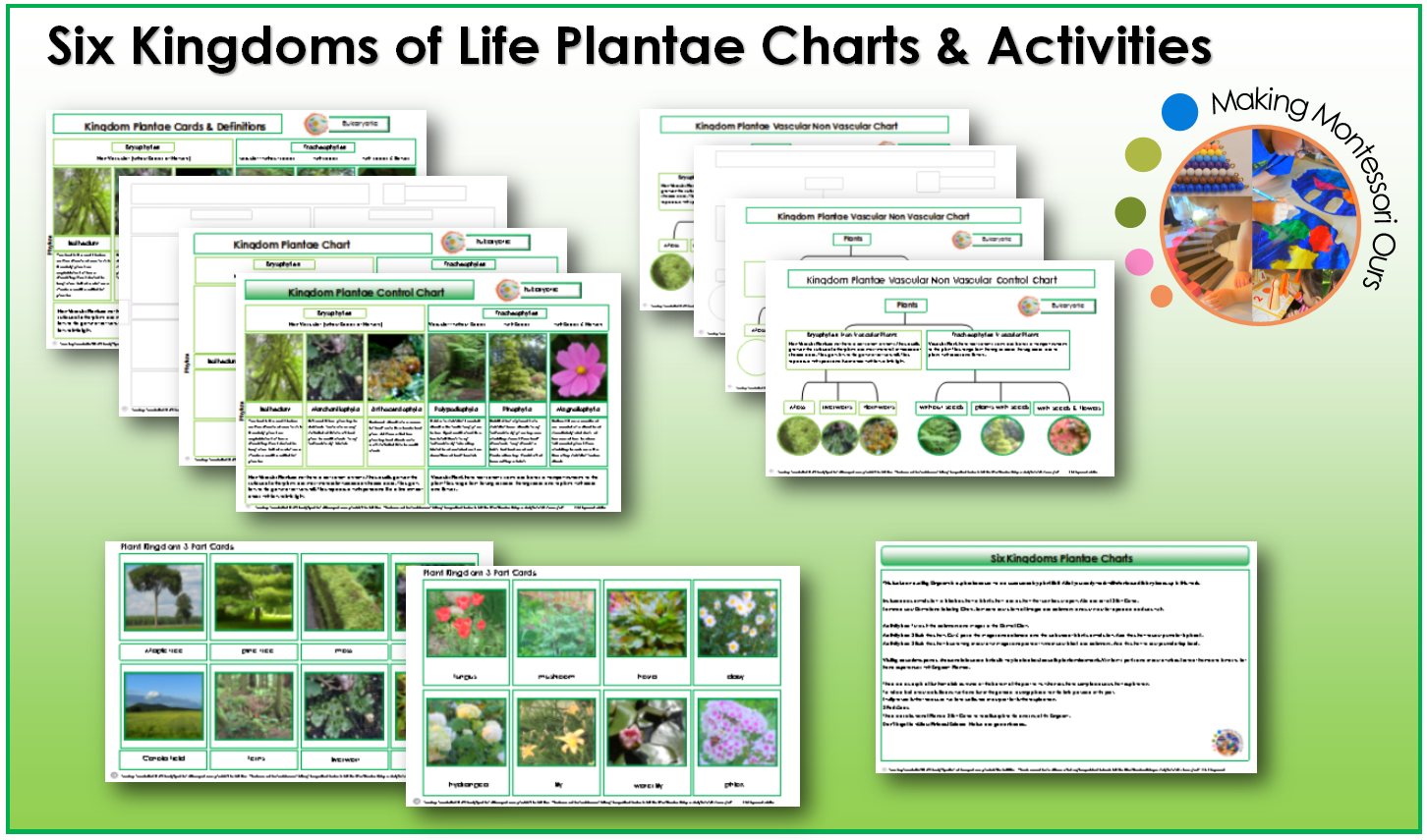 new six kingdoms individual printable material packages classification of plants and animals chart