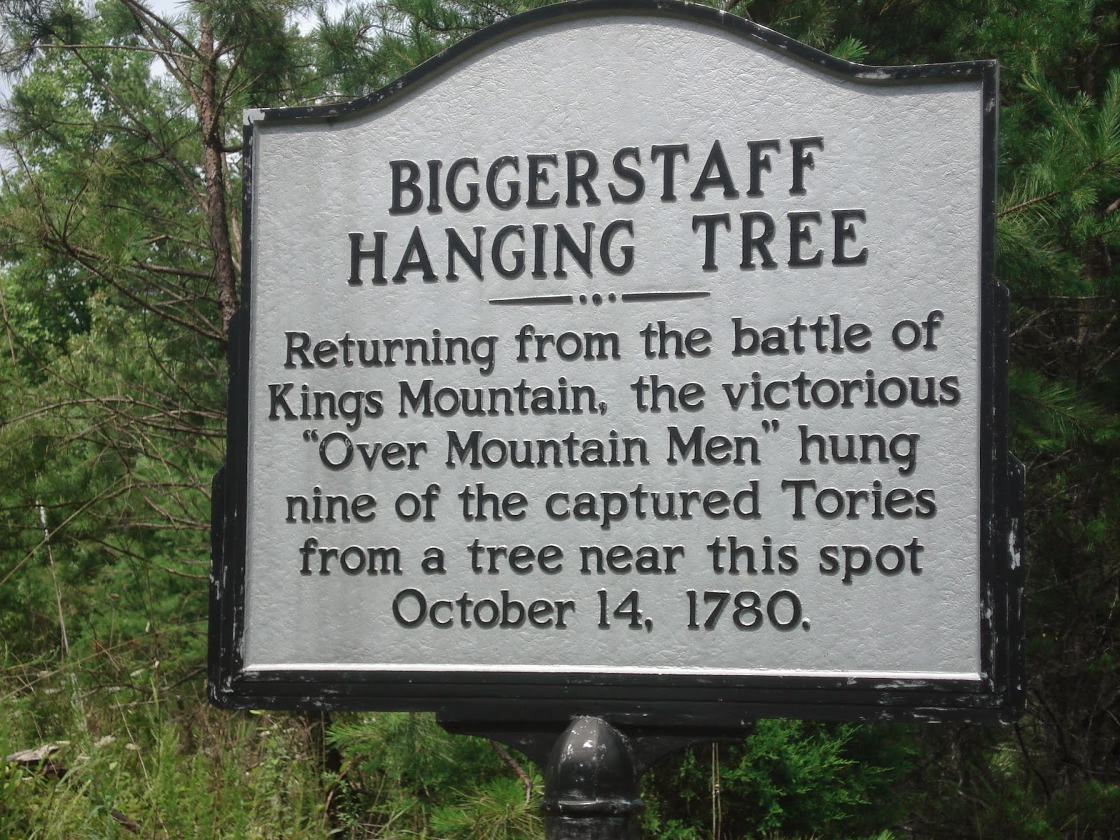 Roots, Branches, and a Few Nuts Hung as a ToryColonel Ambrose Mills