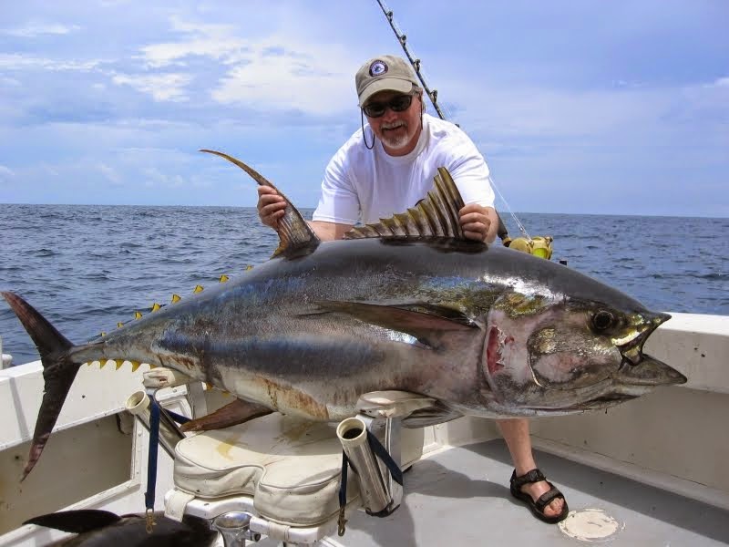 Fish R Tuna Fish And Giant