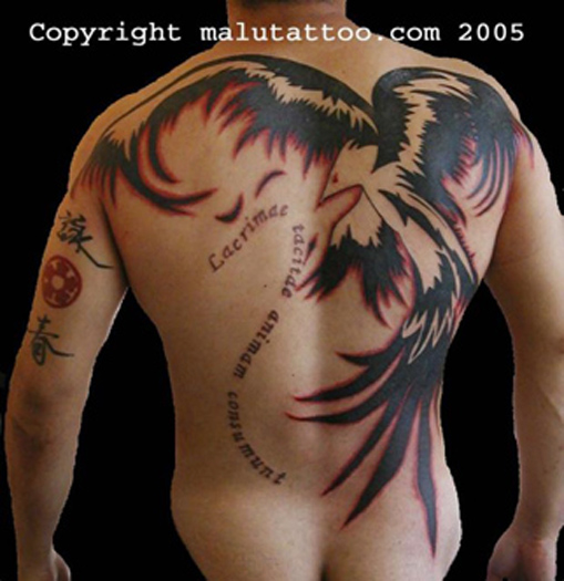 Tribal Tattoos Designs Pictures Tattoo Designs