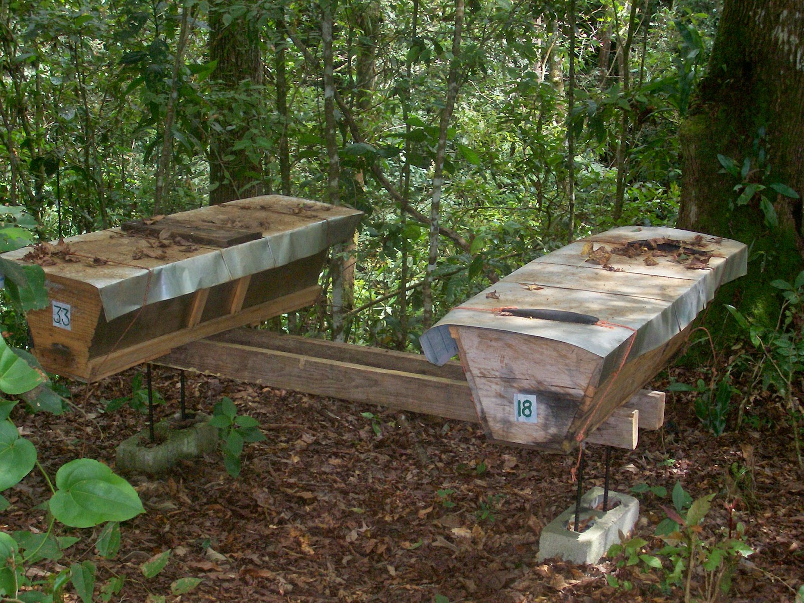 Reflexiones Sobre Apicultura Reflexiones sobre colmenas marimbas Kenya