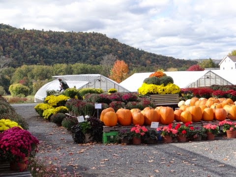 Walkabout With Wheels Blog Visiting The Carrot Barn In Schoharie