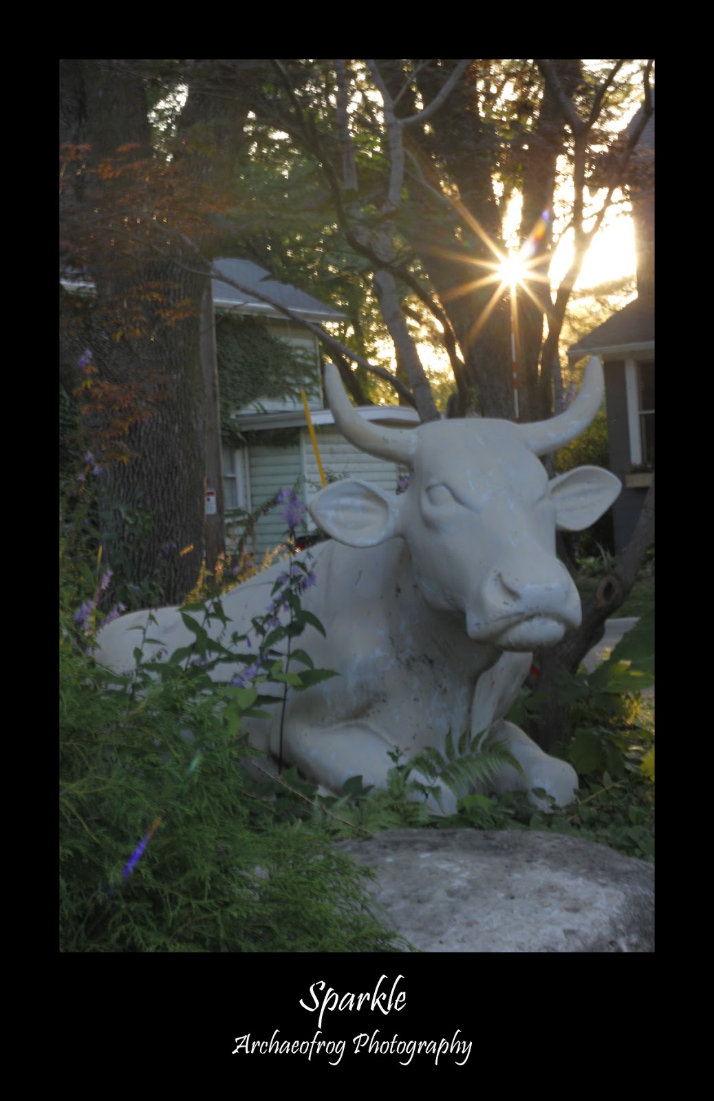 August Photography Book Club Photography and the Art of Seeing Boost