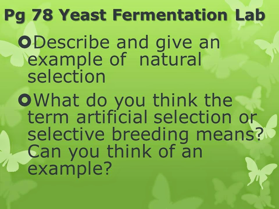 to Mrs. Strong's Biology Blog. Come on in! Learning is fun