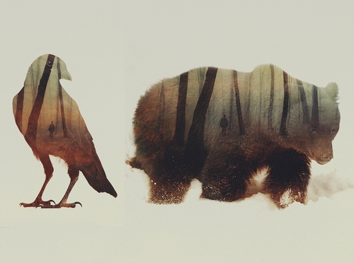00-Andreas-Lie-Animals-Photographic-Double-Exposures-www-designstack-co