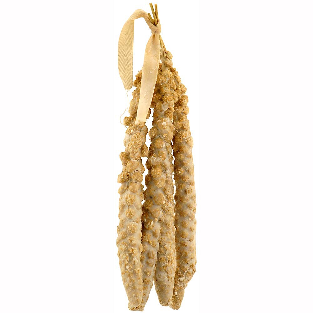 bird in everything bird millet bird in everything bird millet