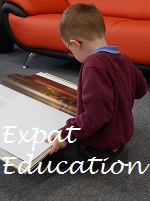 The Ersatz Guide To Expat Education