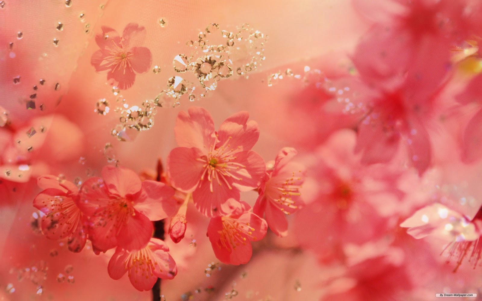 flowers for background