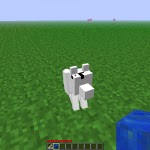 Talents Chien 1.4.7 Mod Minecraft 1.4.7 untitled Doggy Talents 1.4.7 Mod Minecraft 1.4.7