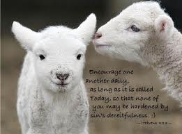 hebrews another encourage today while exhort other daily still august