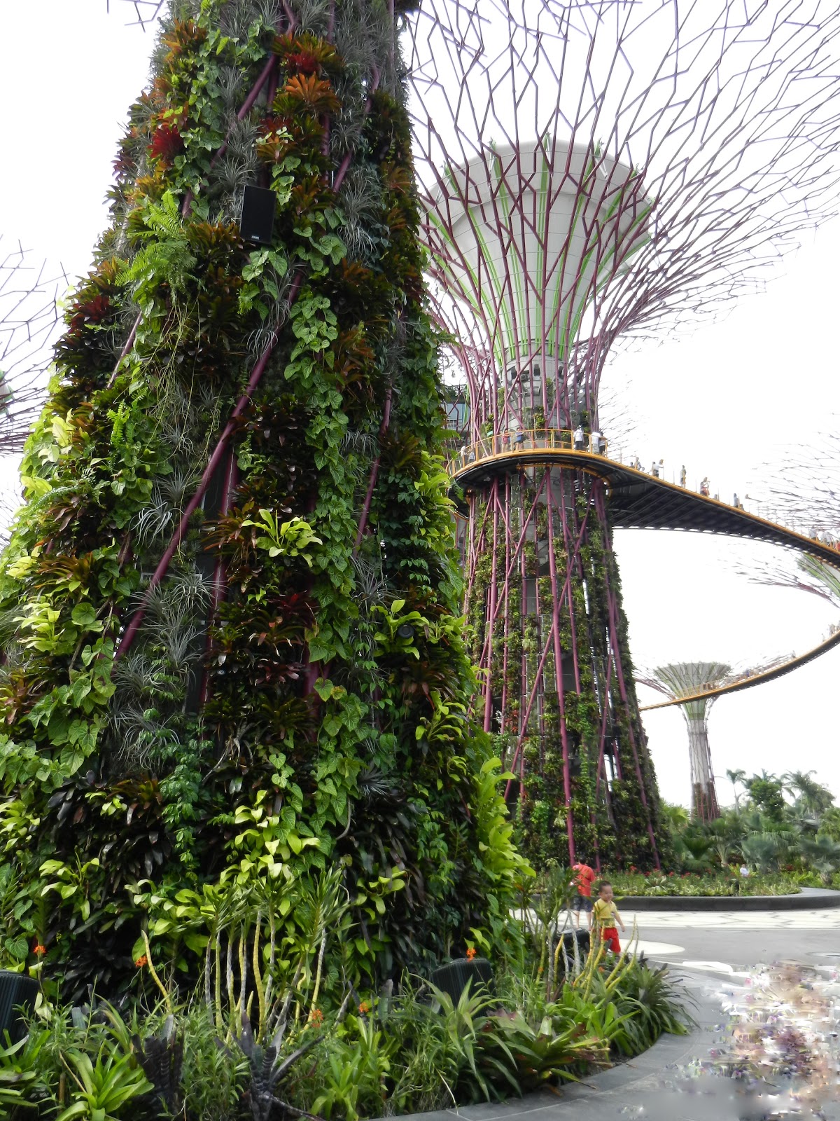 City In Trees