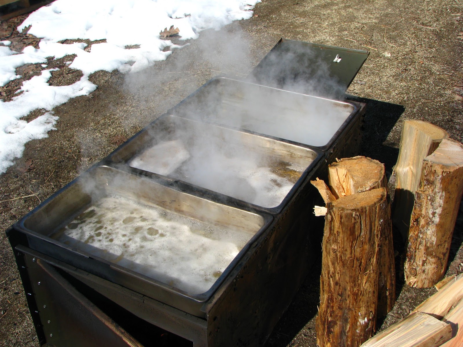 Our Small Farm in the Woods Making Maple Syrup