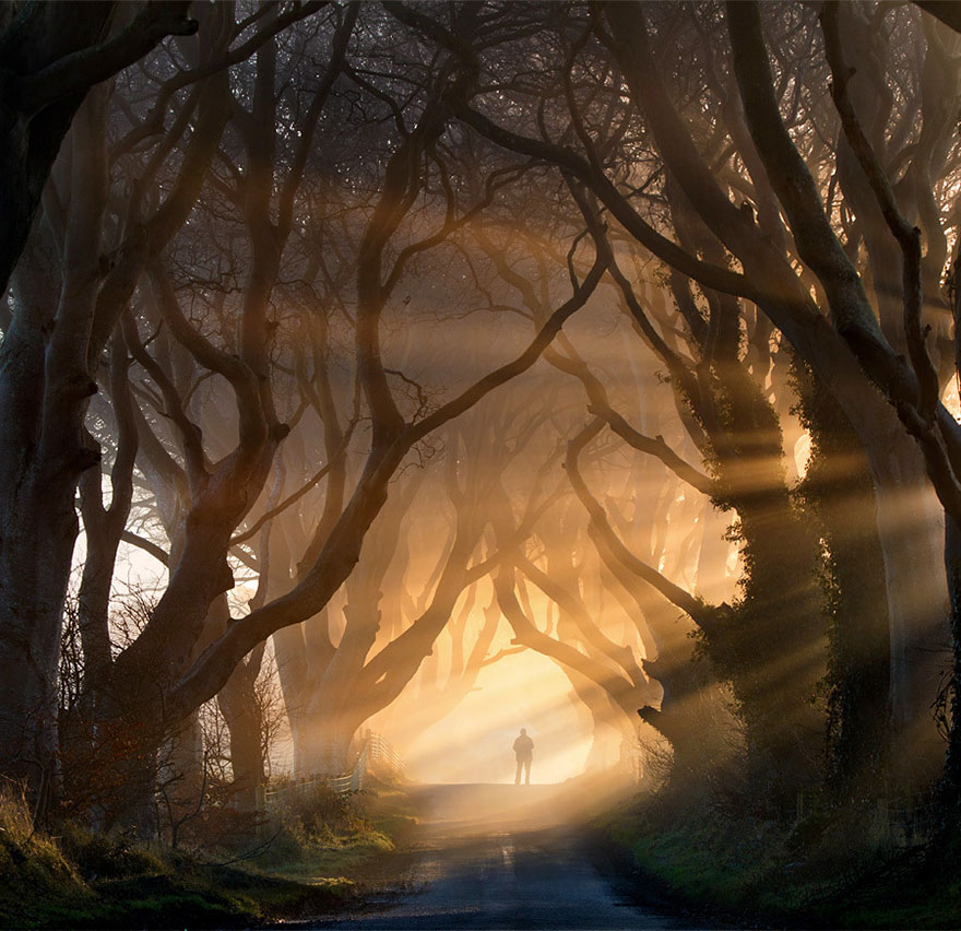 Dark Hedges, Irlanda del Norte.