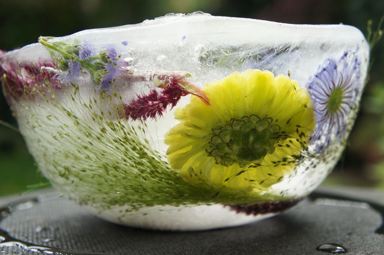 Foragefor... news Ice Flower Bowls