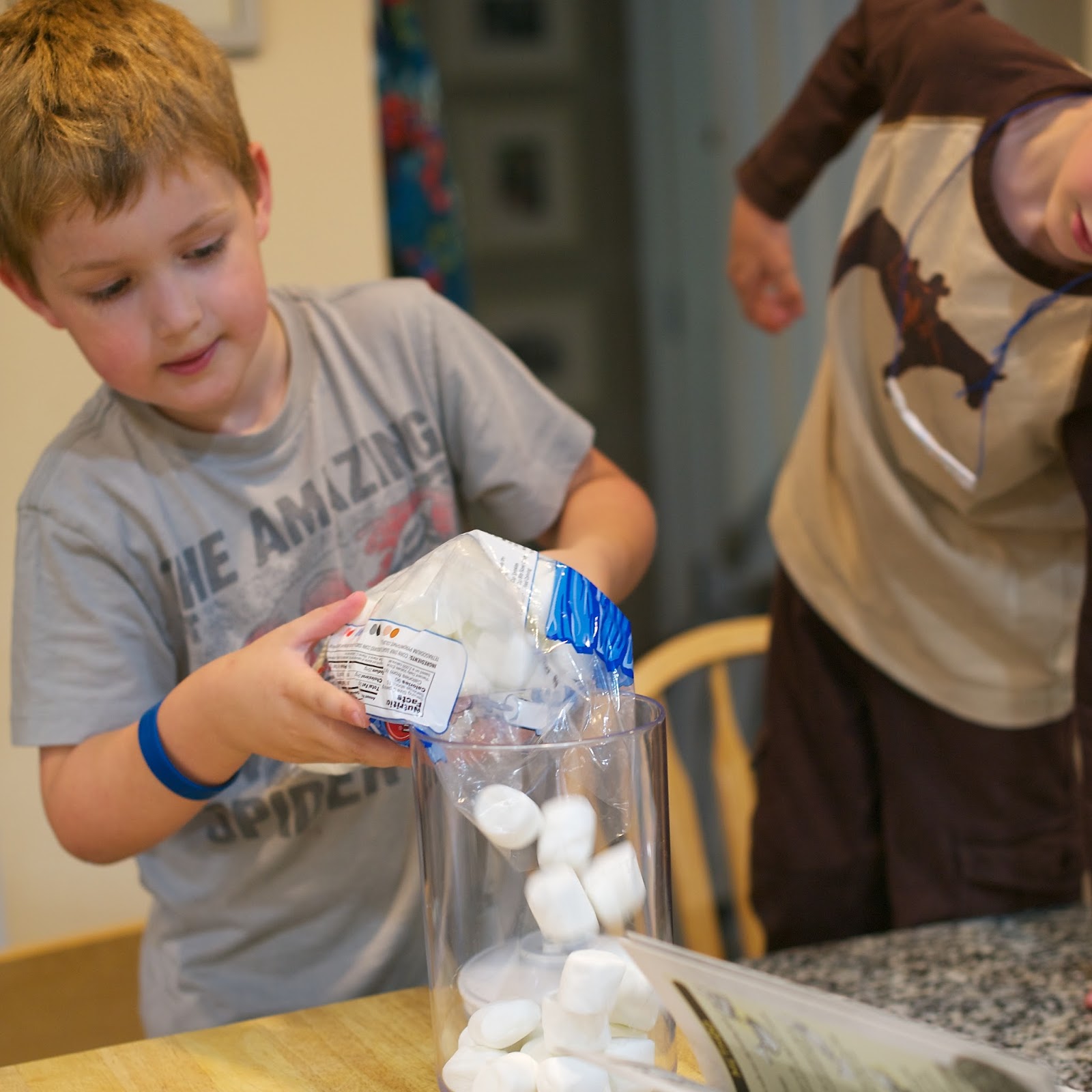 Life at the condo Totally Irresponsible Science Marshmallows on Steroids