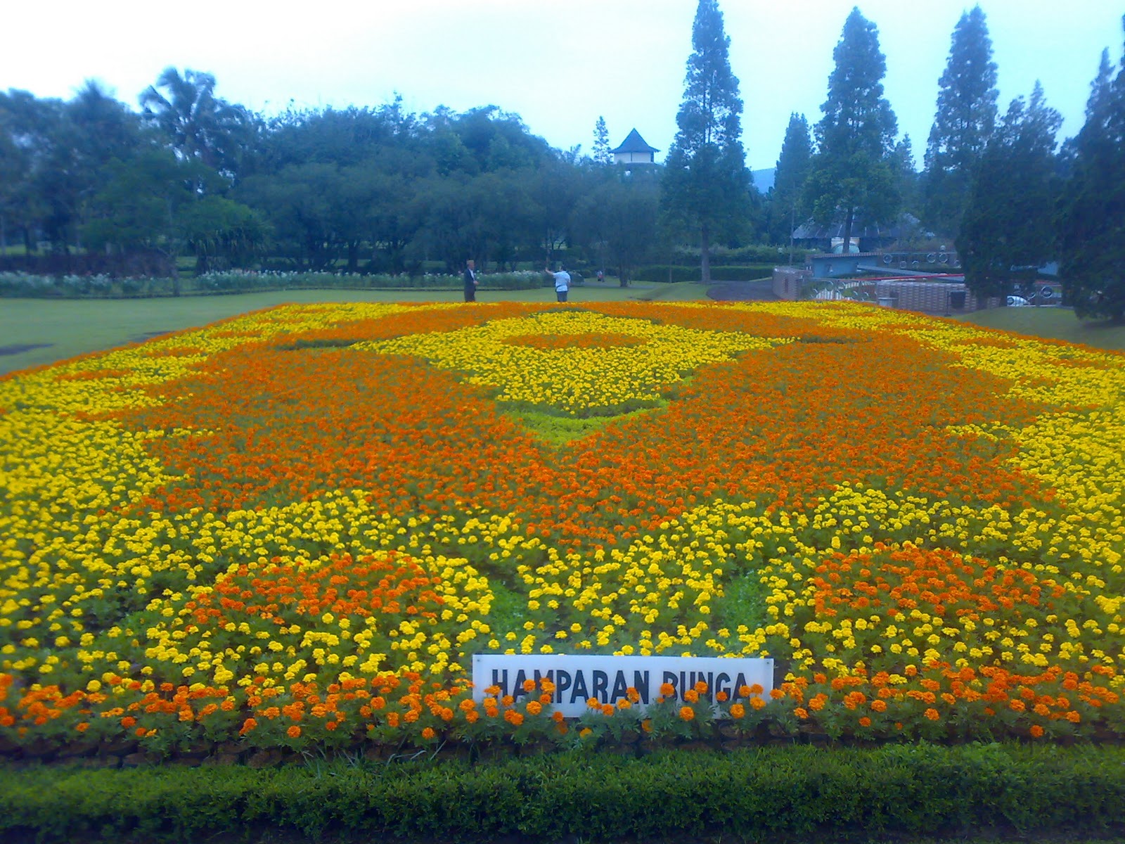 Martika's Blog: Taman Bunga Nusantara