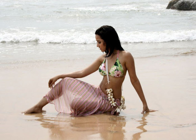 Actress Nisha Kothari Navel Show Photos