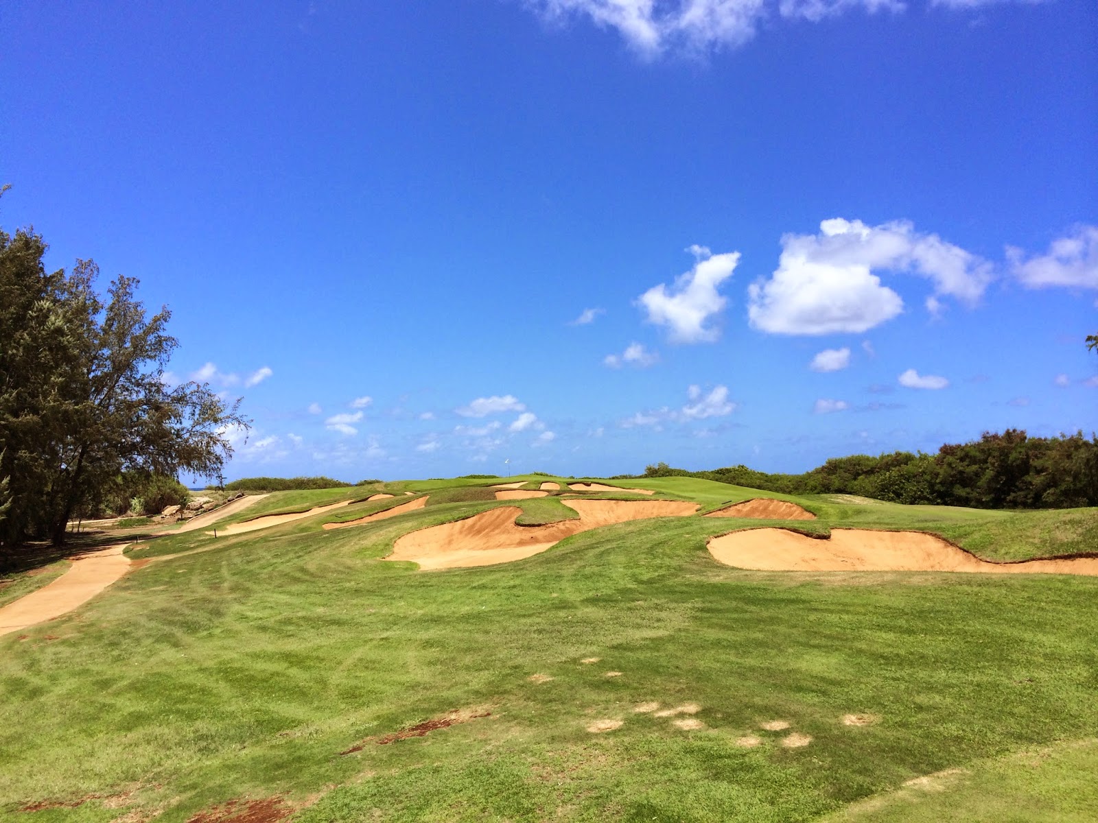 TASTE OF HAWAII: TURTLE BAY GOLF RESORT - THE PALMER COURSE