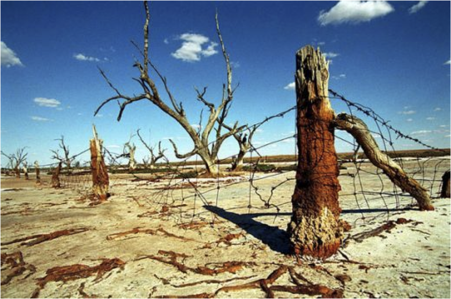 Hanah in Australia 2011 Dry, Old, Salty and Infertile