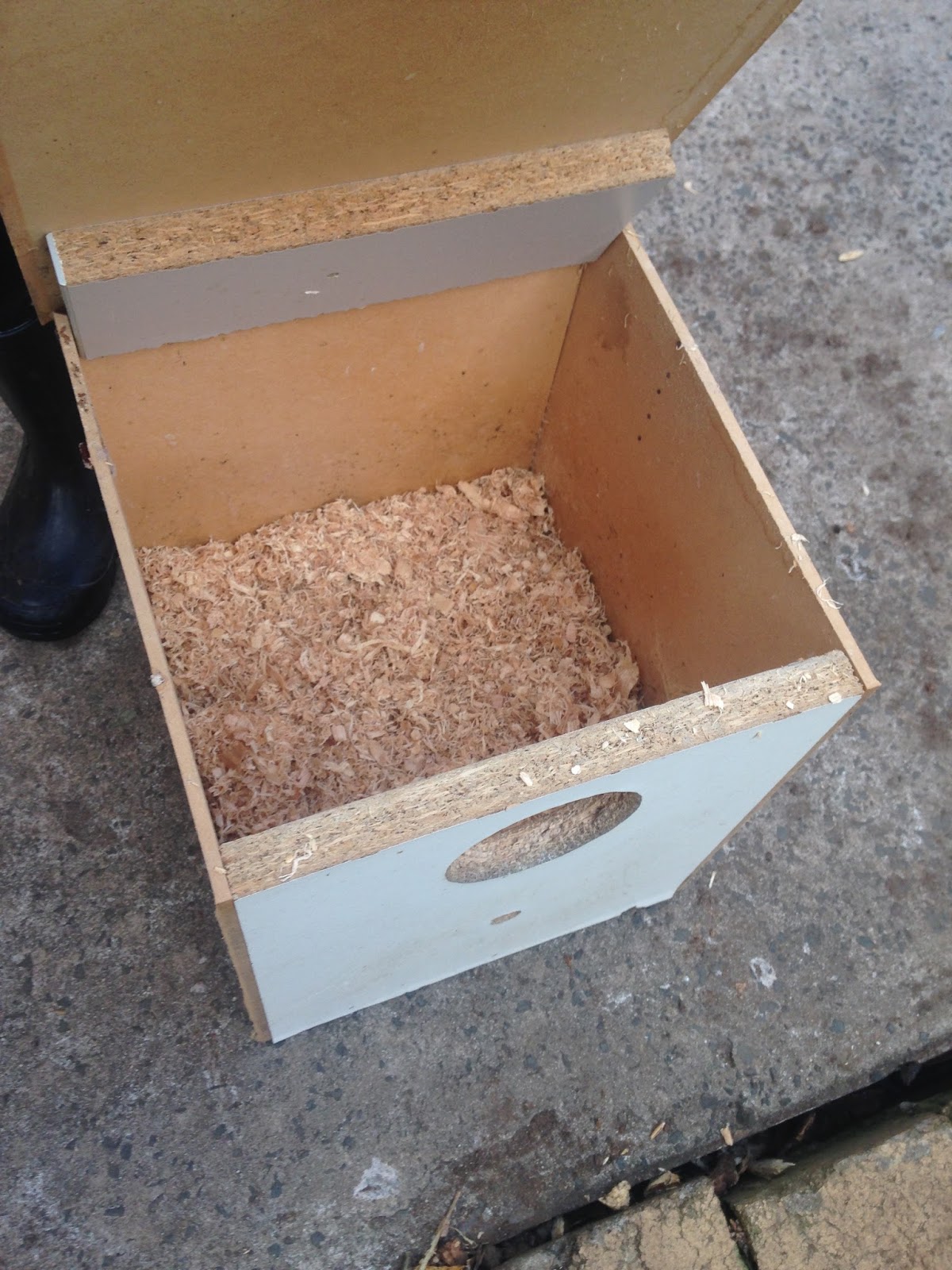 Parrot Breeding Green Cheeked Conure Nesting Box