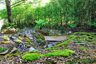 Jardin n°19 bis: Silence... ça mousse!