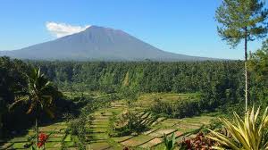Things To Do in Bali 2