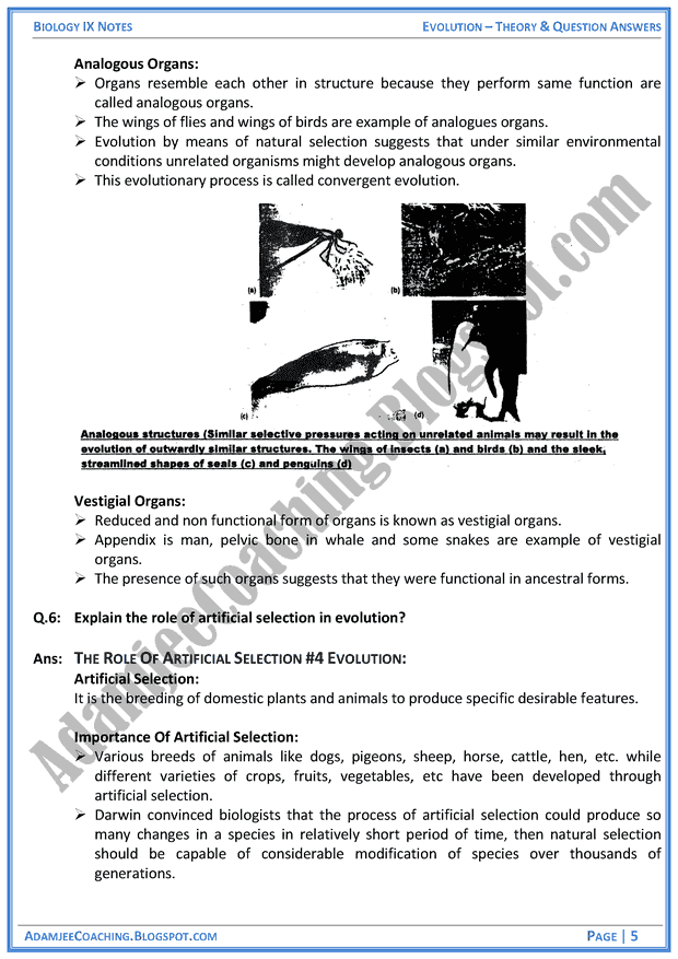 evolution-theory-notes-and-question-answers-biology-notes-for-class-9th