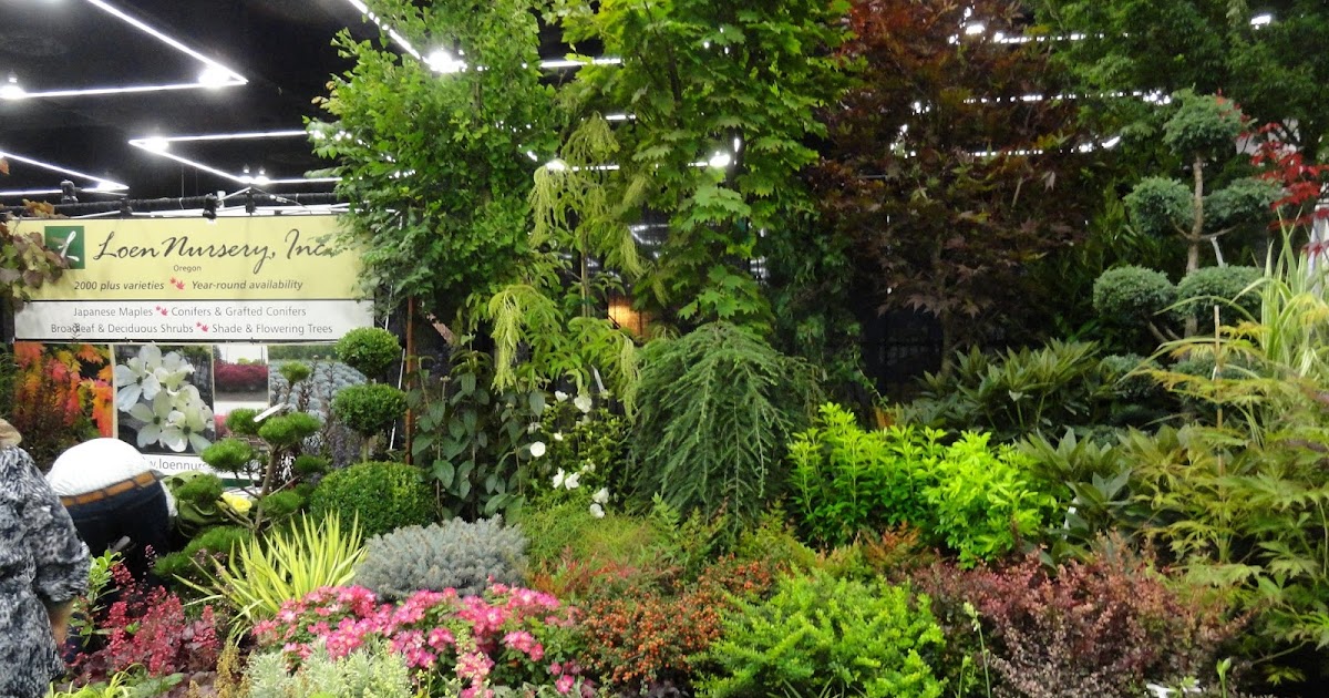 Designer Plants Without The Designer Price Ramblings From A