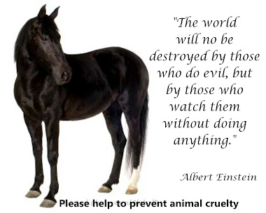 Please, Help To Prevent Animal Cruelty