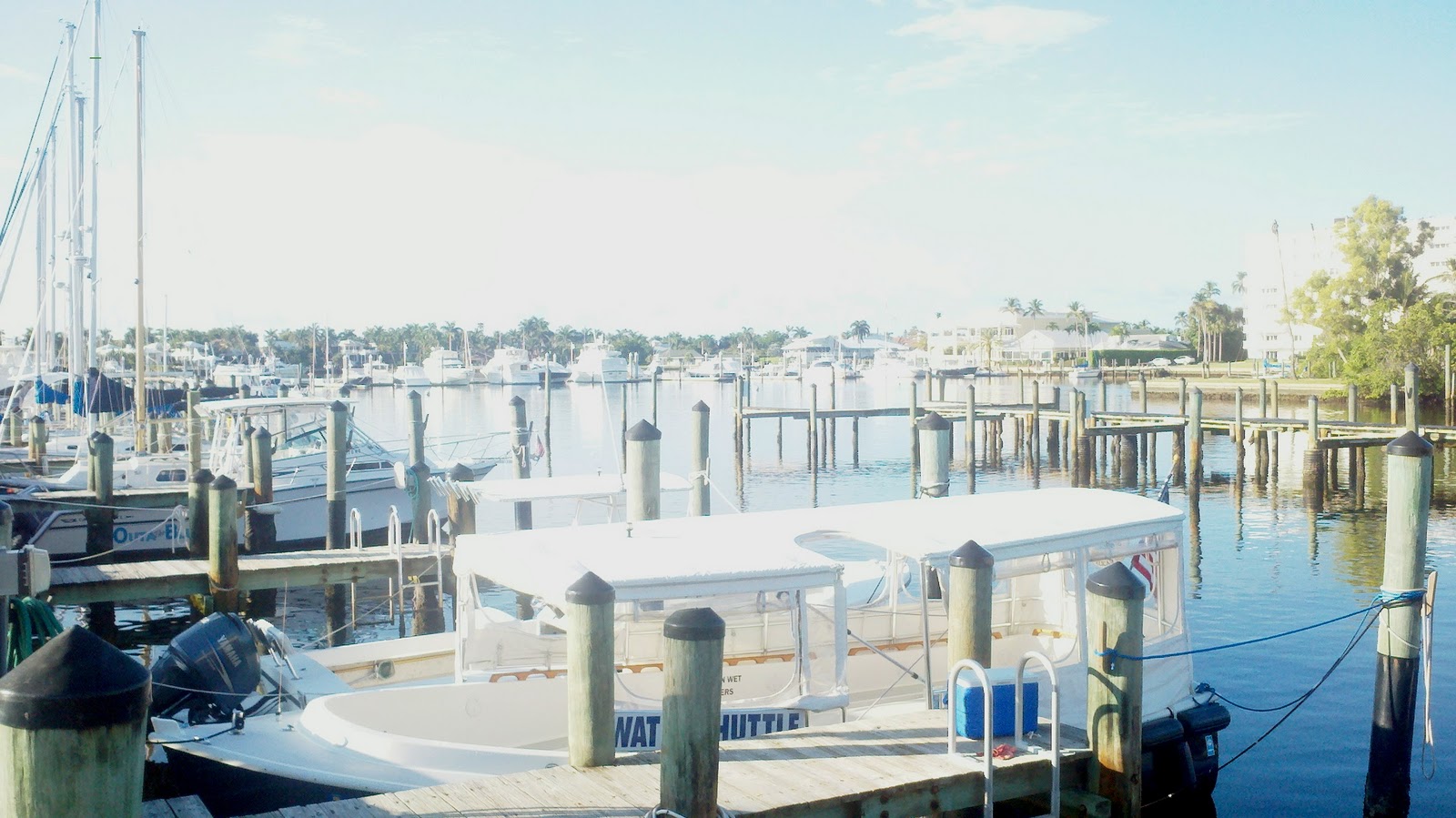 Daly Cruises Marco Island to Cabbage Key