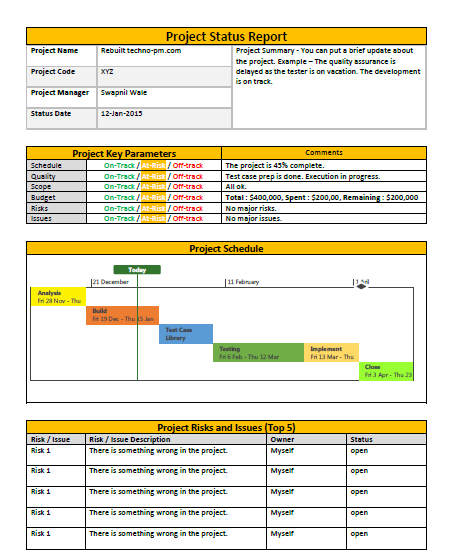 Do Project Managers Report To Program Managers