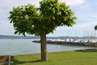 Port de Concise sur le Lac de Neuchâtel Port de Concise