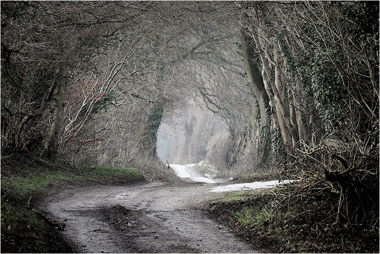 emerging photographers, Best Photo of the Day in Emphoka by Phil Parsons, https://flic.kr/p/qPjq4F emerging photographers, Best Photo of the Day in Emphoka by Phil Parsons, https://flic.kr/p/qPjq4F
