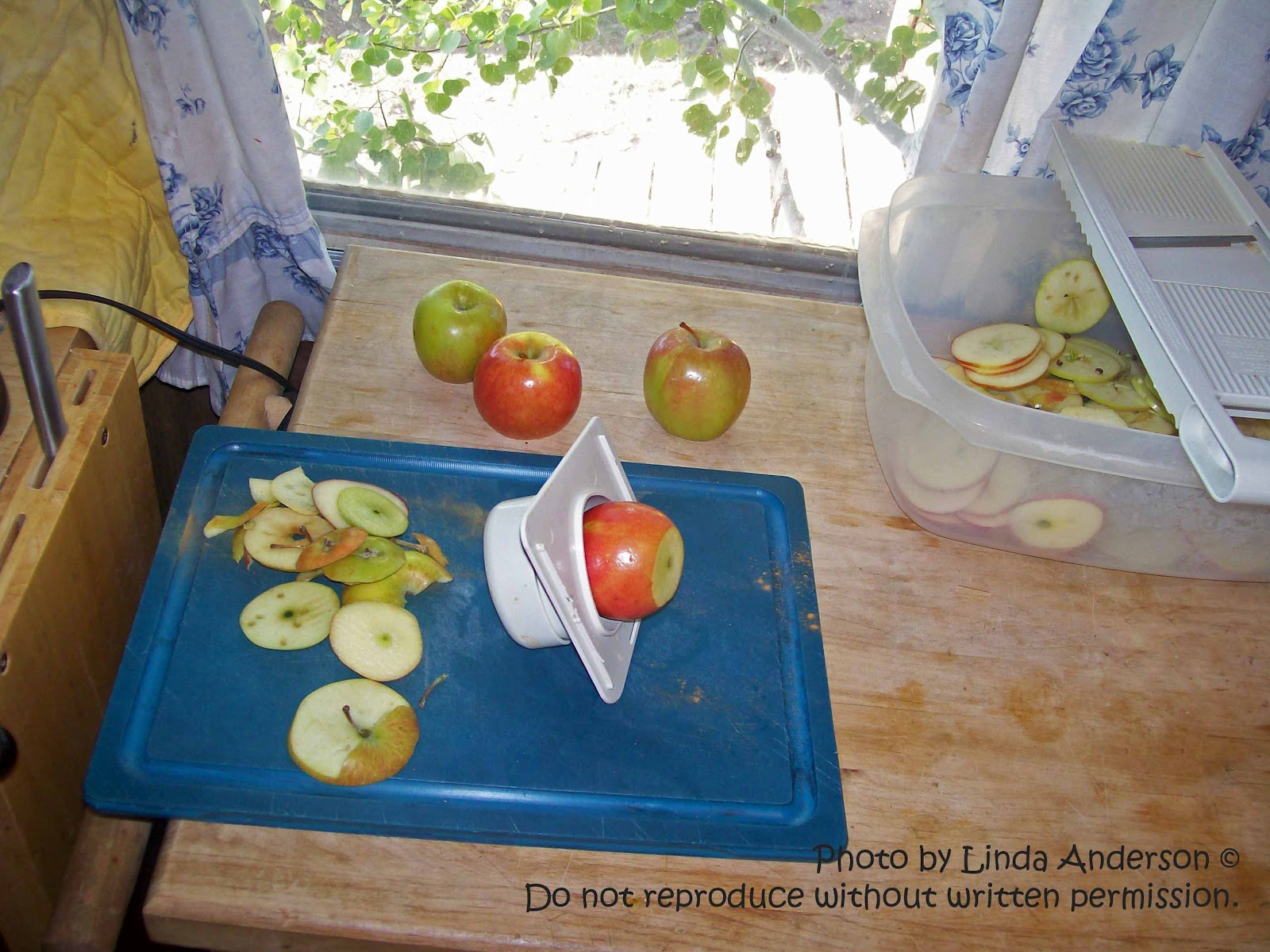 How to core and cut apples  Pampered Chef Apple Corer and Apple