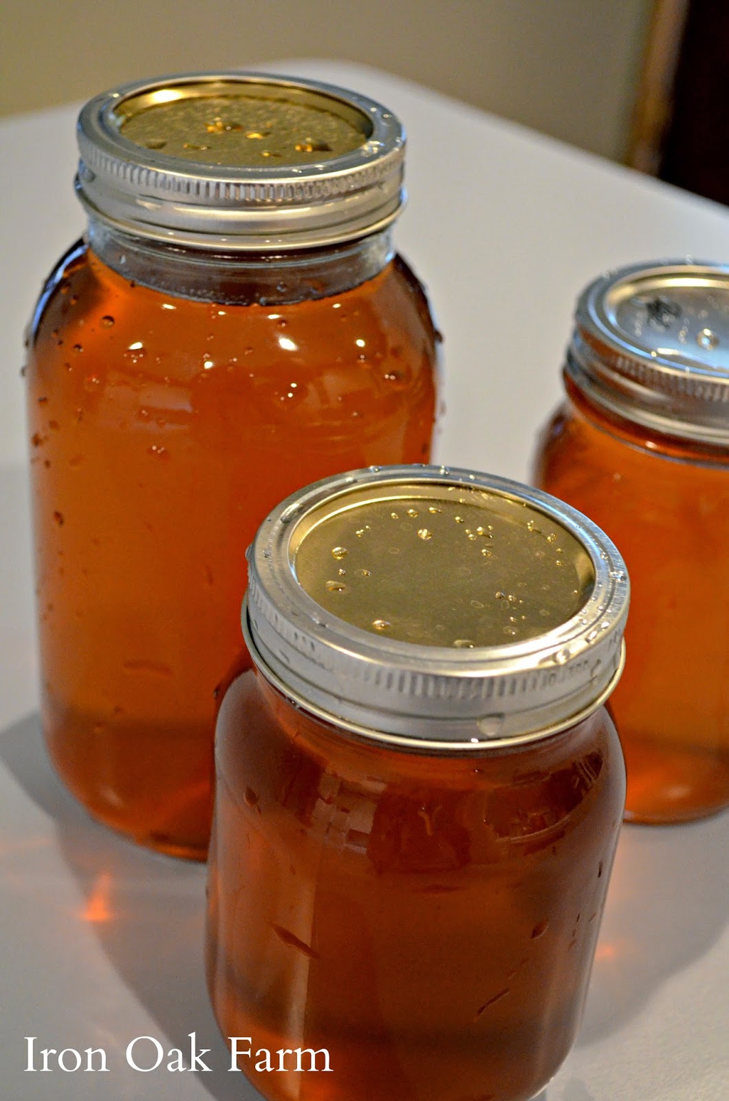 Iron Oak Farm Maple Syrup Guide