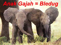 ORANG CERDAS (SMART PEOPLE): Jenenge Anak Kewan (Nama Anak Hewan dalam