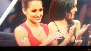 Photo of Brie Bella's Wardrobe Malfunction on WWE Monday Night Raw
