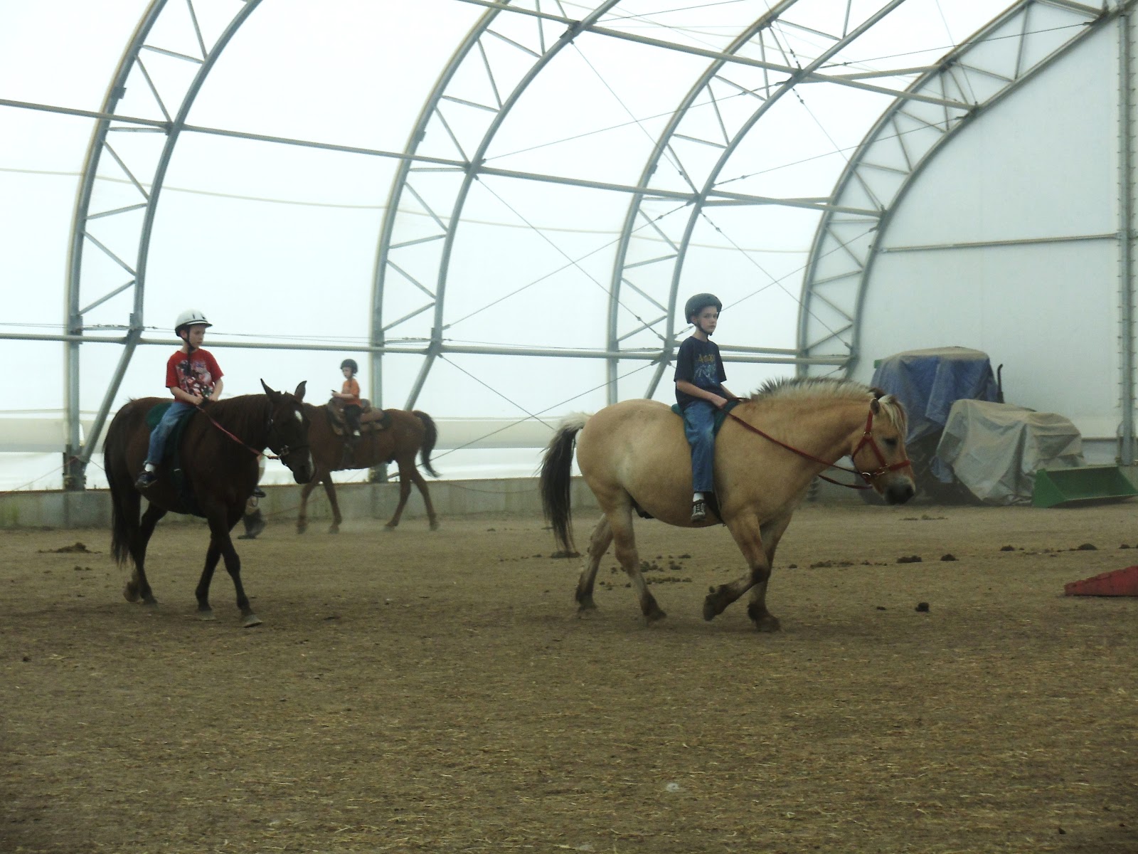 Autism Understanding The Puzzle Therapeutic Horseback Riding
