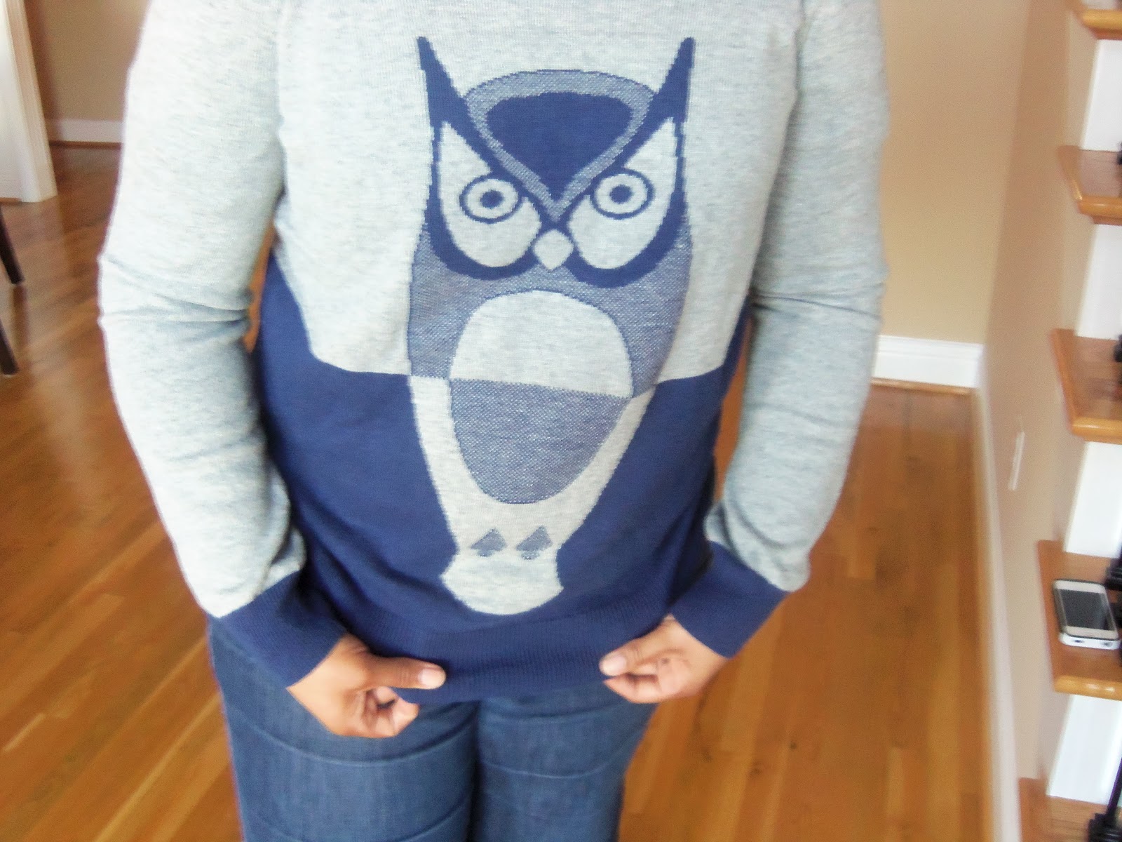 Madewell Owl Sweater Really