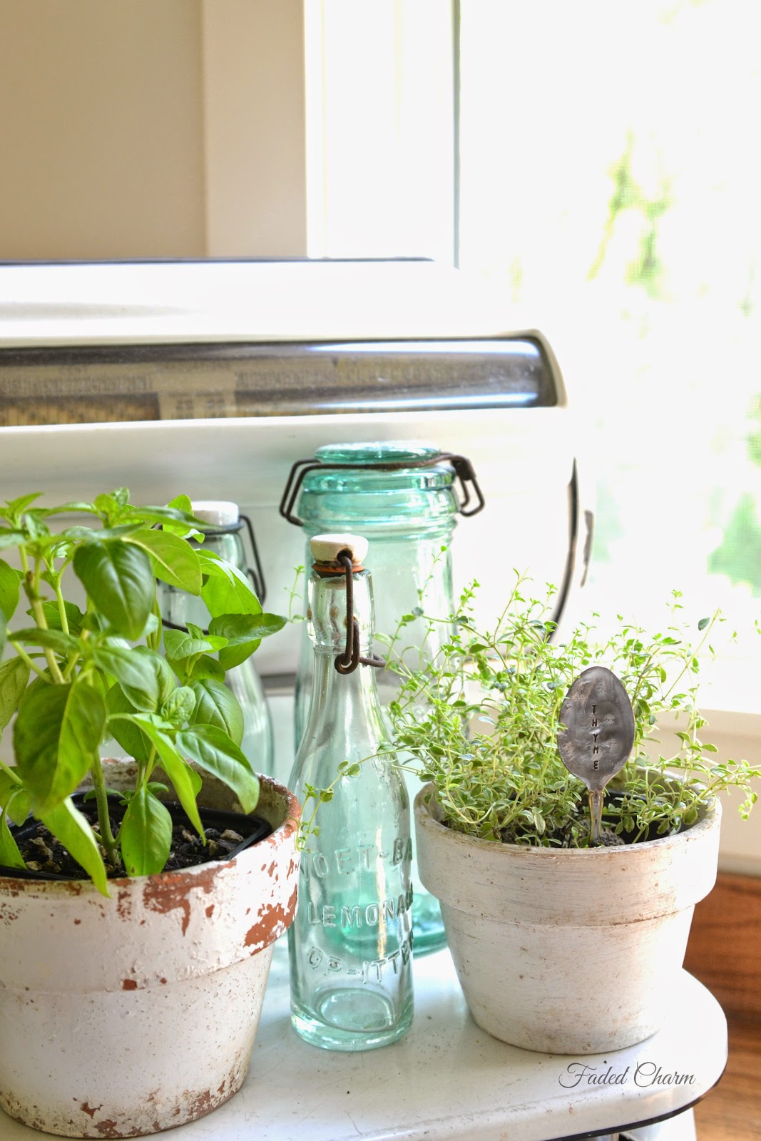 Faded Charm Fresh Herbs in the Kitchen
